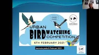 Urban Birdwatching