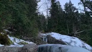 Sage - Monroe, Washington, and Jefferson (11/22/2020)