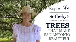 8 Beautiful Trees That Thrive in San Antonio | Native & Drought-Tolerant Picks for Your Yard