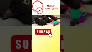 Today's Quote 金句名言 #478