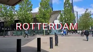 Exploring Rotterdam, the Netherlands. Rotterdam Central Station, Cube Houses, Erasmus Bridge.