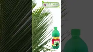 [ Kannada ] Coconut  Online Farmer Mr. Srinivasan giving feedback about our Products