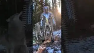 Black Panther Lunges at NEEDLE MAN!