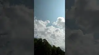 Very large Raven circled back while I'm squalling🤣