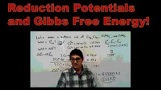 Reduction Potentials, Batteries, & Gibbs Free Energy | Professional Chemistry Instruction