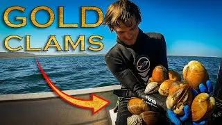 How To Find Giant Golden Clams with Baja Azul - part 3