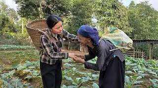 tieu Ly was very happy when the old woman came to visit her on the farm when she was very sad.