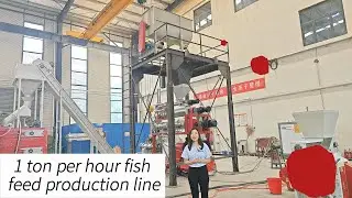 large scale 1 ton/h fish feed machine line#fishfeed #fishfeedmachine #commercial #petfood