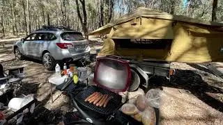 Subaru Outback & BabyQ Bush Therapy