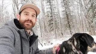 Most Beautiful Dog Park - Life in Alaska