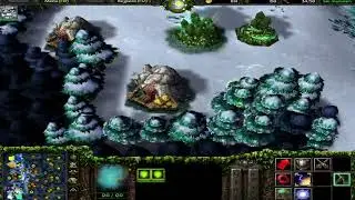 Warcaft III Reign of Chaos gameplay partidas personalizadas con mapas 12J o 6vs6
