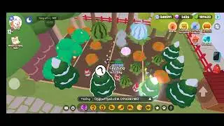 Nhà các bn đẹp quá 😍 | play together 
