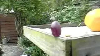Shooting a Grape - Slow Motion