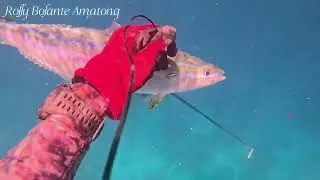 Reef hunt full video // 04/25/2025 spearfishing// yazbeck wetsuits!!