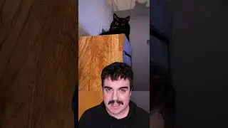 PROOF Cats Are Actually Evil! 😱