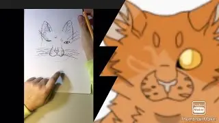 Warrior Cats Einauge