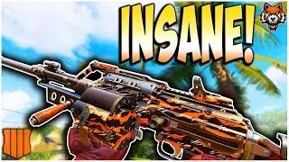 The VKM Best Class Setup Destroys On Black Ops 4