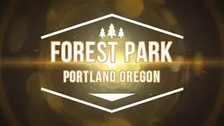 Forest Park Portland Oregon
