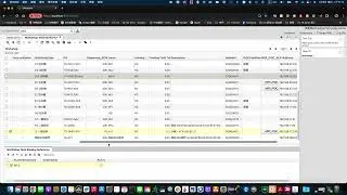 iDempiere ERP, Freeze Column Feature Test