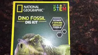 Dino Fossil Dig Kit