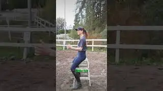 Half halt! What is it and how to do it? #horseriding #equestrian #dressage