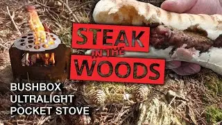 Woodland Cooking with the Bushbox Ultralight Pocket Stove