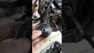 Gear pompa oli Supra abis #shortvideo #youtube