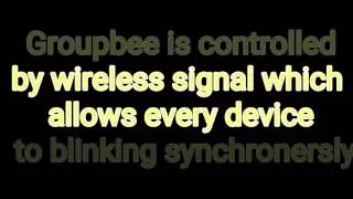 Groupbee lighting