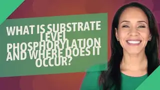 What is substrate level phosphorylation and where does it occur?