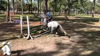 Novi- Stadium Jumping