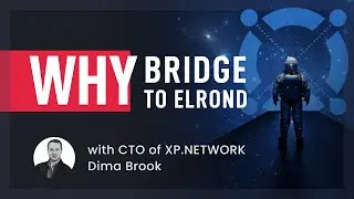 XP Shorts &ndash; Why bridge NFTs to Elrond? With CTO Dima Brook
