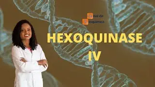 Regulação da hexoquinase hepática (glicoquinase)