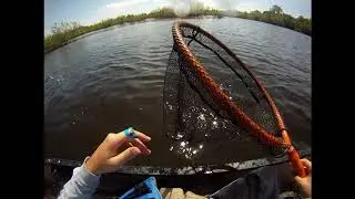 NJ swamp fishing