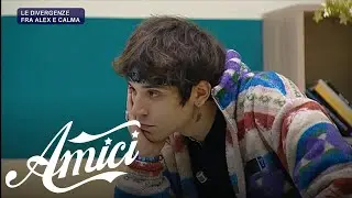 Amici 21 - Le divergenze tra Alex e Calma