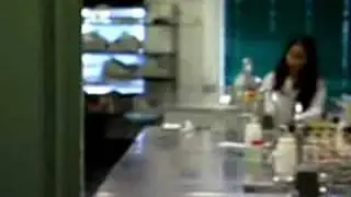 A Day in the Life - Microbiologist