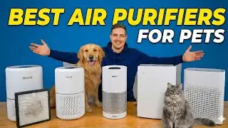 Best Air Purifiers For Pets in 2026✅ Top Picks in Each Budget 🏆