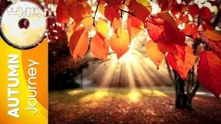 Eric Chiryoku - Reflection || Autumn Journey