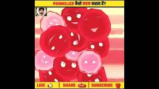HOW PAINKILLER WORKS! 😳 | MH FactHub