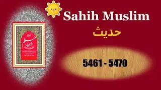 Sahih Muslim Hadees In Urdu (5461-5470) #Islamic #books #hadees #muslim #QHD💗❤️