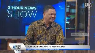 Head of Pulse Lab Jakarta Discusses Digital Transformation Ahead of the 17th G20 Summit in Indonesia