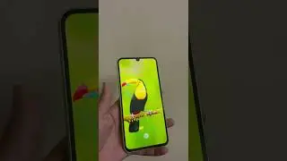 Refurbished Mobile Phones | Available on IndiaMART