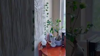 🌿Late Spring Boho Bedroom Refresh 🌳 Amazon items under &laquo;Boho Bedroom Decor&raquo; #amazonhome