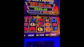 lightning link tiki fire 🔥 #ilani casino