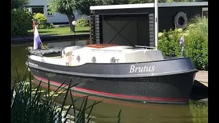 Vedette Brutus BR2 850_HR