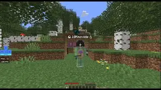 Minecraft Manhunt FINALE vs GRAND FINALE (SIDE BY SIDE COMPARISON)