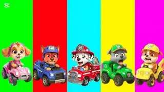  Wrong eyes👀 NEW EPISODES/ Sheriff Labrador x Rocky & BabyBoss Puzzle Wrong HeadsEYE PUZZLE WORLD