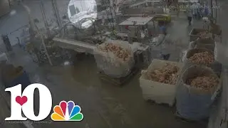 Federal judge unseals videos of 2018 immigration raid at Bean Station meatpacking plant