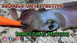 MAR FUERTE PERO SALIERON , SEÑUELO que no FALLA, #eging #DTD #viral #calamar #squid