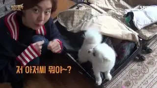 SBS [정글의 법칙] - '와일드 뉴질랜드' 유이 셀캠