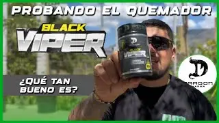 BLACK VIPER I REVIEW DEL QUEMADOR DE DRAGON PHARMA